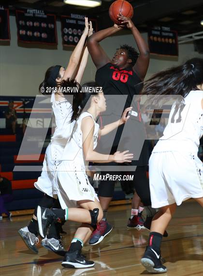 Thumbnail 1 in Antelope vs West photogallery.