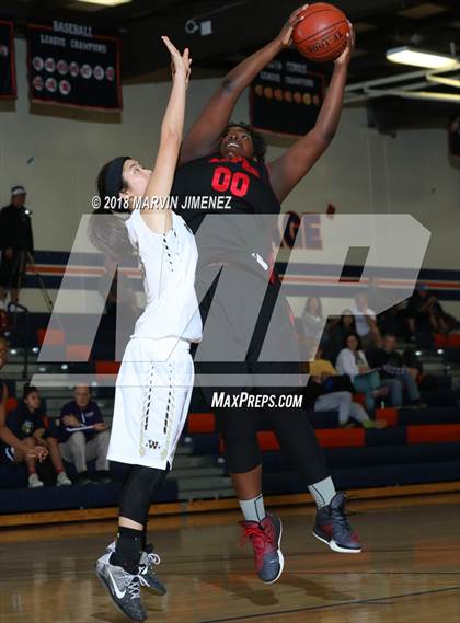 Thumbnail 3 in Antelope vs West photogallery.