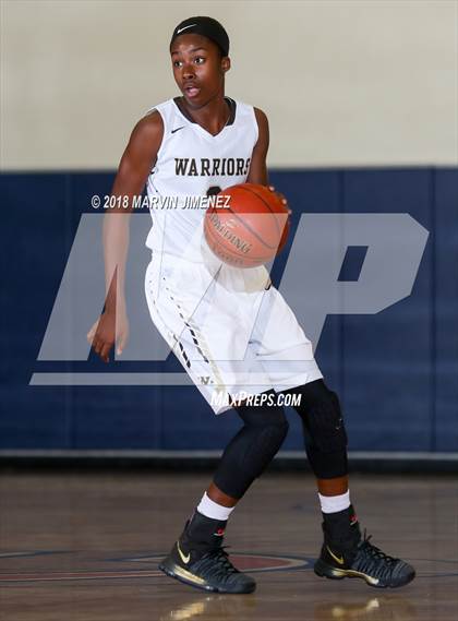Thumbnail 3 in Antelope vs West photogallery.
