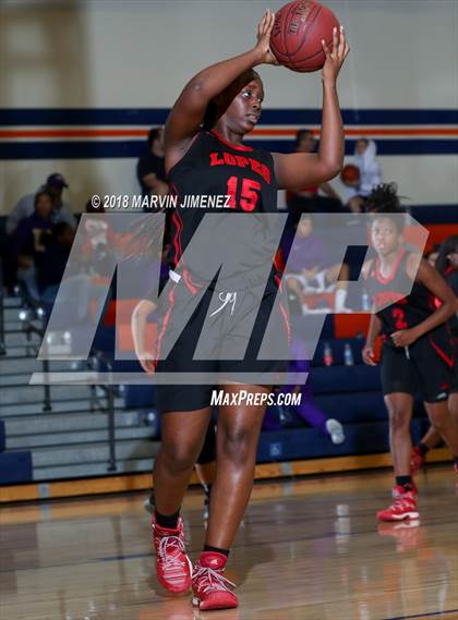 Thumbnail 1 in Antelope vs West photogallery.