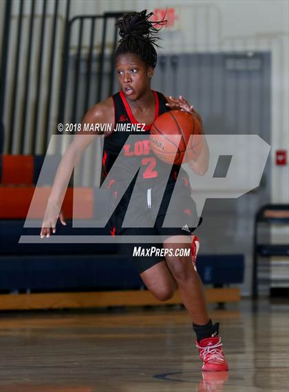 Thumbnail 1 in Antelope vs West photogallery.