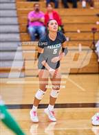 Photo from the gallery "West Fork @ Pasadena"