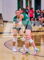 Photo from the gallery "West Fork @ Pasadena"