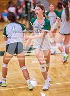 Photo from the gallery "West Fork @ Pasadena"