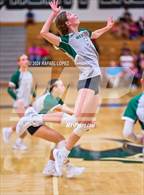 Photo from the gallery "West Fork @ Pasadena"