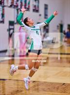 Photo from the gallery "West Fork @ Pasadena"