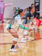 Photo from the gallery "West Fork @ Pasadena"