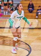 Photo from the gallery "West Fork @ Pasadena"