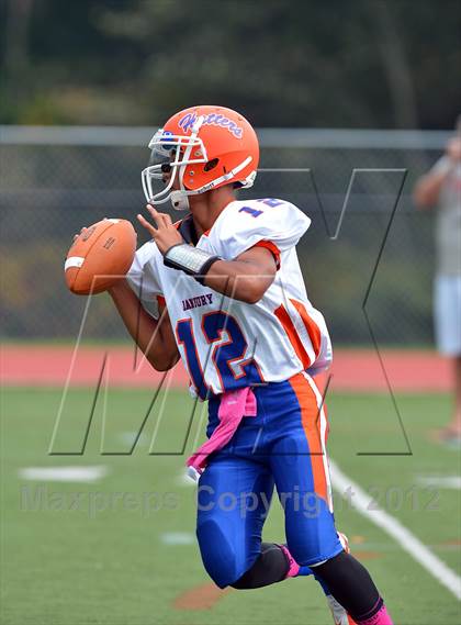 Thumbnail 1 in Danbury @ Darien photogallery.