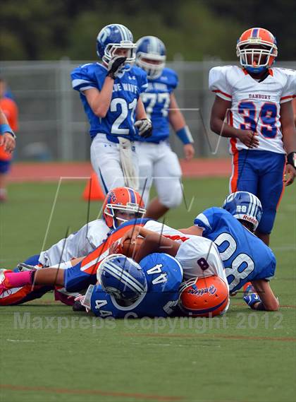Thumbnail 1 in Danbury @ Darien photogallery.