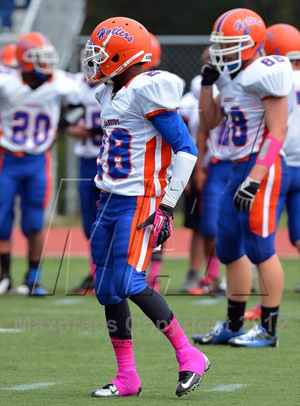 Thumbnail 1 in Danbury @ Darien photogallery.