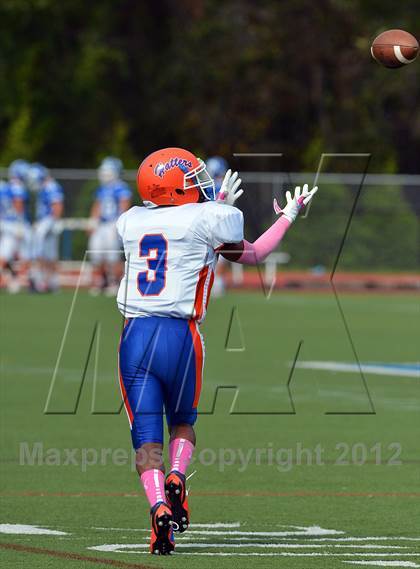 Thumbnail 3 in Danbury @ Darien photogallery.