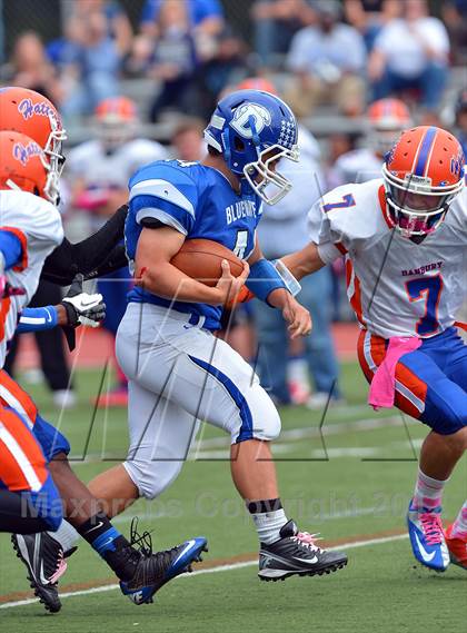 Thumbnail 2 in Danbury @ Darien photogallery.