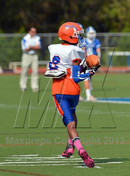 Thumbnail 1 in Danbury @ Darien photogallery.