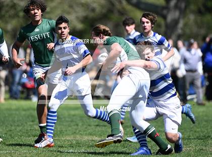 Thumbnail 3 in Strake Jesuit @ Jesuit (New Orleans) photogallery.