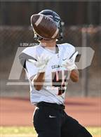 Photo from the gallery "California @ Amador Valley"