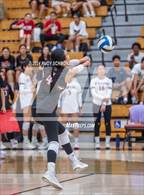 Photo from the gallery "Mt. Carmel @ Canyon Crest Academy"