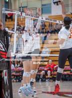 Photo from the gallery "Mt. Carmel @ Canyon Crest Academy"