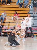 Photo from the gallery "Mt. Carmel @ Canyon Crest Academy"