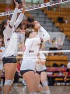 Photo from the gallery "Mt. Carmel @ Canyon Crest Academy"