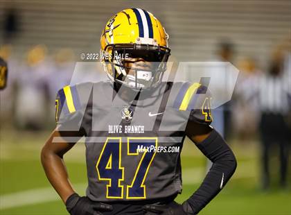 Thumbnail 1 in DeSoto Central @ Olive Branch photogallery.