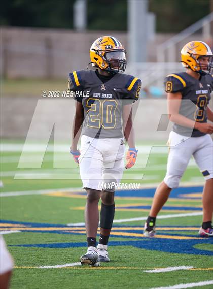 Thumbnail 2 in DeSoto Central @ Olive Branch photogallery.