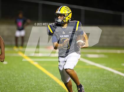 Thumbnail 2 in DeSoto Central @ Olive Branch photogallery.