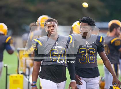Thumbnail 1 in DeSoto Central @ Olive Branch photogallery.