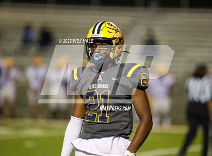 Thumbnail 3 in DeSoto Central @ Olive Branch photogallery.
