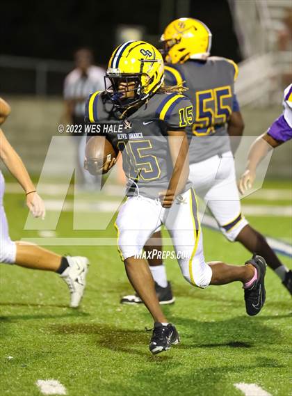 Thumbnail 1 in DeSoto Central @ Olive Branch photogallery.