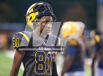 Thumbnail 2 in DeSoto Central @ Olive Branch photogallery.