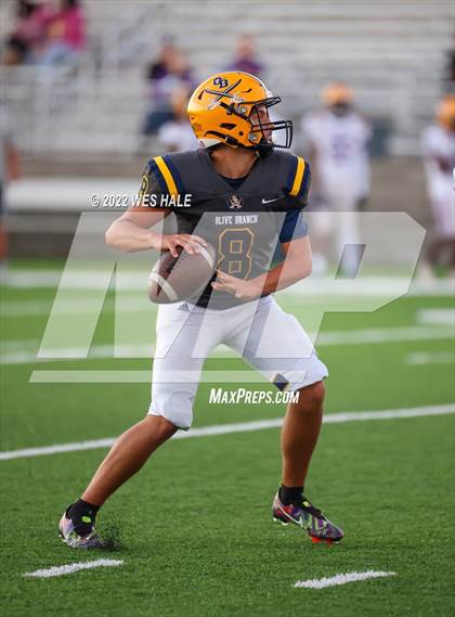 Thumbnail 2 in DeSoto Central @ Olive Branch photogallery.