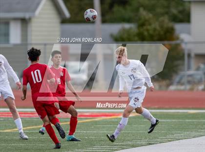 Thumbnail 1 in Warren Township @ Mundelein (IHSA 3A Regional Final) photogallery.