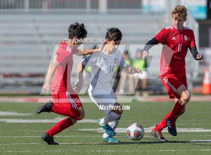 Thumbnail 3 in Warren Township @ Mundelein (IHSA 3A Regional Final) photogallery.