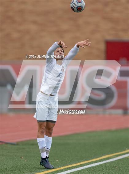 Thumbnail 1 in Warren Township @ Mundelein (IHSA 3A Regional Final) photogallery.