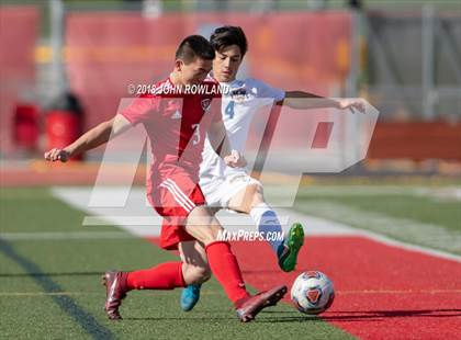 Thumbnail 1 in Warren Township @ Mundelein (IHSA 3A Regional Final) photogallery.