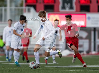 Thumbnail 1 in Warren Township @ Mundelein (IHSA 3A Regional Final) photogallery.