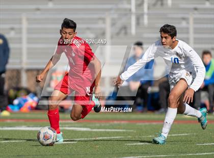 Thumbnail 2 in Warren Township @ Mundelein (IHSA 3A Regional Final) photogallery.