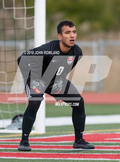 Thumbnail 2 in Warren Township @ Mundelein (IHSA 3A Regional Final) photogallery.