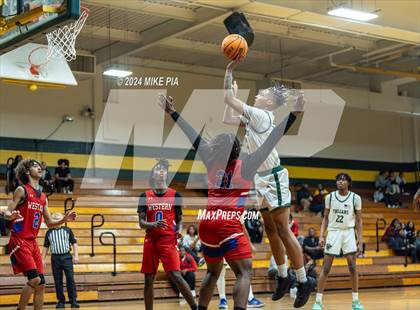 Thumbnail 2 in Western Harnett @ Pine Forest photogallery.