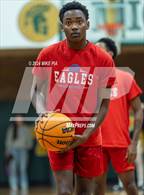 Photo from the gallery "Western Harnett @ Pine Forest"
