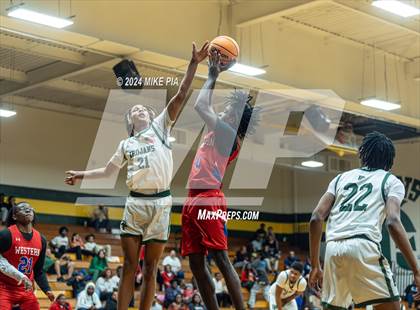 Thumbnail 1 in Western Harnett @ Pine Forest photogallery.