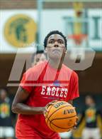 Photo from the gallery "Western Harnett @ Pine Forest"