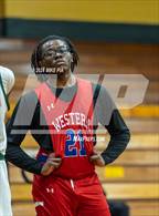 Photo from the gallery "Western Harnett @ Pine Forest"