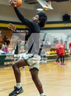 Photo from the gallery "Western Harnett @ Pine Forest"