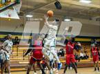 Photo from the gallery "Western Harnett @ Pine Forest"