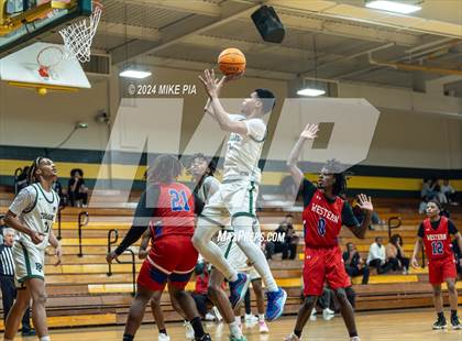 Thumbnail 3 in Western Harnett @ Pine Forest photogallery.