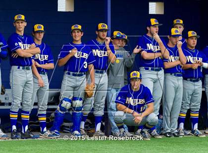 Thumbnail 1 in Alamo Heights vs. Dripping Springs (5A Regional Quarterfinals) photogallery.