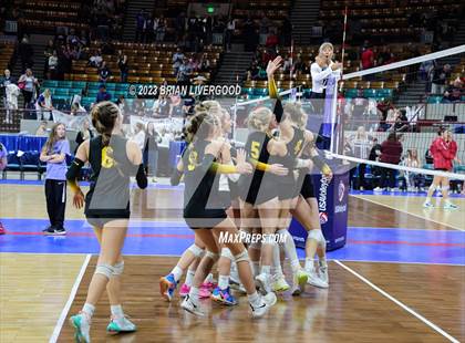 Thumbnail 1 in Thompson Valley vs. Lewis-Palmer (CHSAA 4A Semifinal) photogallery.