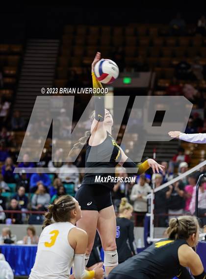 Thumbnail 3 in Thompson Valley vs. Lewis-Palmer (CHSAA 4A Semifinal) photogallery.